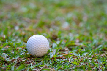 Close-up Of golf ball on the green grass.