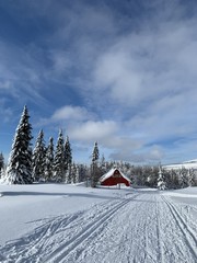 Winter landscape with a modified cross-country ski trails in Krkonose mountains, Czech Republic.