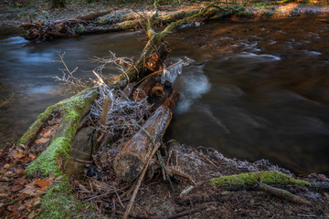 River in the woods in winter.