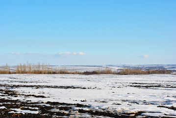 Plowed field covered with snow, poplar trees without leaves on the hills on horizon, winter...