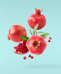 Flying in air fresh ripe pomegranate with seeds and leaves on blue background