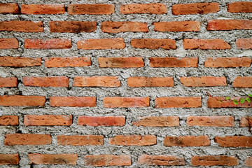 Rough Cement Brick Wall of an Aging Building 