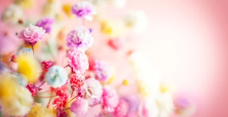 Poster Fleurs Fond floral de printemps ou d& 39 été. Floraison de petites fleurs colorées.