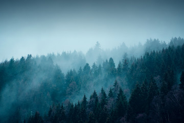 Beautiful winter mountain nature landscape with snow. Mountain forest with fog and mist with snow flakes and dark moody background. Harz Mountains National Park in Germany