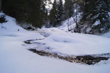 Winter adventures. Creek in the snow. Carpathians. Ukraine.