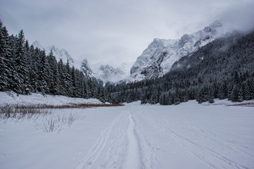 Fototapeta premium Tatry