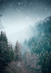 Beautiful winter mountain nature landscape with snow. Mountain forest with fog and mist with snow flakes and dark moody background. Harz Mountains National Park in Germany