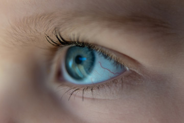 Fototapeta premium Blaues Auge mit roten Adern