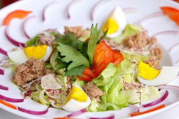 Mixed salad with egg and tuna