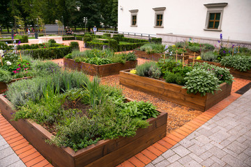 Fototapeta na wymiar Green garden near the Cathedral in Vilnius, Lithuania