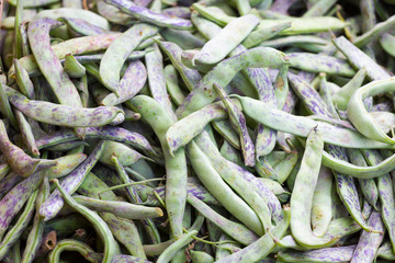 Fresh green beans in pods close-up as background for design