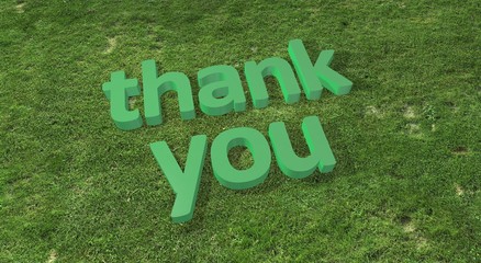 3d thank you words at grass field