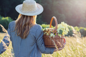 Woman with straw hat is holding wicker basket and standing in meadow. Elderberry harvest