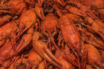 Boiled crawfish. Background of many red crayfish.