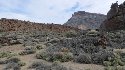 Fototapeta na wymiar Teide National Reserve