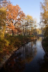 Fototapeta premium park