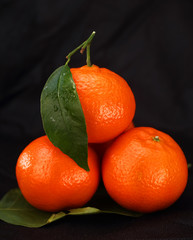 tangerines on a black background