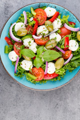 Vegetable salad with cheese mozzarella, tomatoes, basilikum and spice.