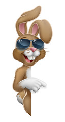Easter bunny rabbit cartoon character in cool sunglasses or shades peeking around a sign and pointing at it