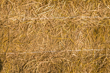 Straw background texture, Dry straw for design Background 
