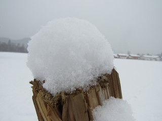 Schnee