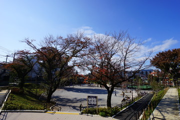 東京都　板橋区　前野公園　前野町　青空　昼間　入口