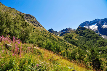 Closeup mountains scenes in national park Dombai, Caucasus, Russia