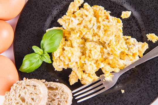 Scrambled eggs, some fresh eggs and wholemeal bread, and a fork, decorated with basil, on a white background 