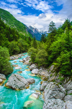 Rafting Sport Background River Course Valley Vertical Nature Panorama