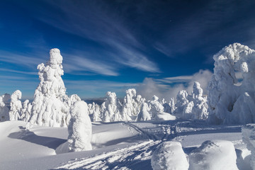Beautiful scenery of the snowy winter landscape. View from Kubinska hola mountain in Slovakia, Europe. © Viliam