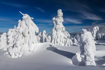 Beautiful scenery of the snowy winter landscape. View from Kubinska hola mountain in Slovakia, Europe. © Viliam