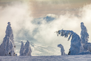 Beautiful scenery of the snowy winter landscape. View from Kubinska hola mountain in Slovakia, Europe. © Viliam