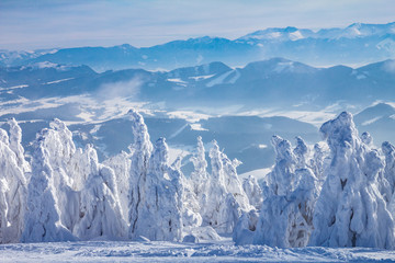 Beautiful scenery of the snowy winter landscape. View from Kubinska hola mountain in Slovakia, Europe. © Viliam