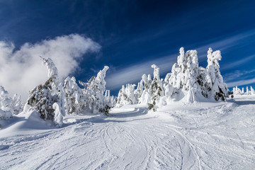 Beautiful scenery of the snowy winter landscape. View from Kubinska hola mountain in Slovakia, Europe. © Viliam
