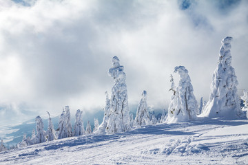 Beautiful scenery of the snowy winter landscape. View from Kubinska hola mountain in Slovakia, Europe. © Viliam