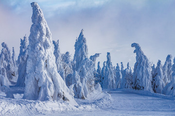 Beautiful scenery of the snowy winter landscape. View from Kubinska hola mountain in Slovakia, Europe. © Viliam