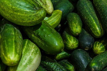 HORTALIÇAS PRODUZIDAS NO BRASIL