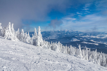 Beautiful scenery of the snowy winter landscape. View from Kubinska hola mountain in Slovakia, Europe. © Viliam