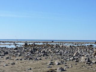 beach and sea