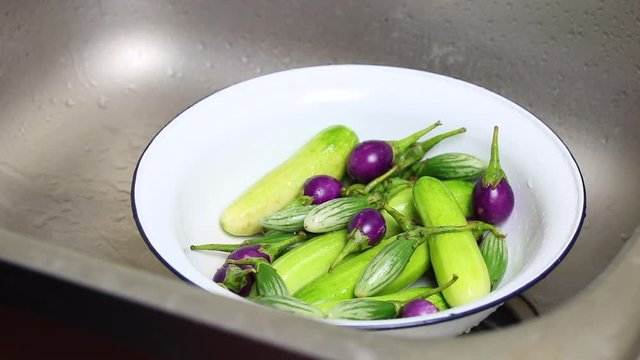 wash vegetable insectiside prepare raw material for salad clean food contamination with fresh water