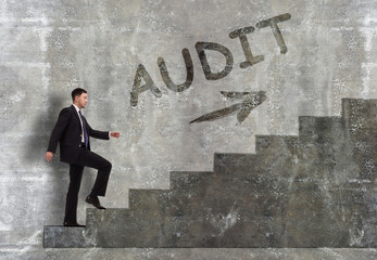 Business, technology, internet and networking concept. A young entrepreneur goes up the career ladder: Audit