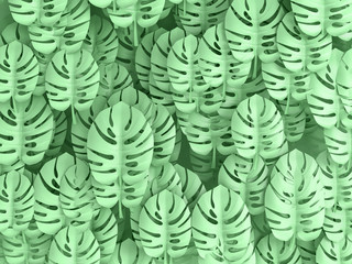 Naklejka na ściany i meble Tropical Monstera leaves, green background. 3D illustration.