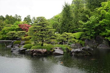 Fototapeta na wymiar Pond in Japanese garden, grey day, Japan 
