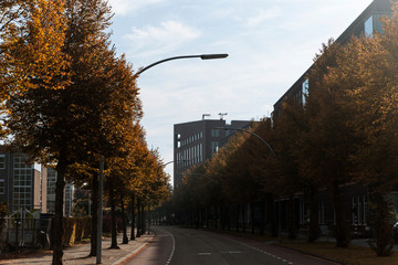 Modern Zwolle industrial road with sunlight.