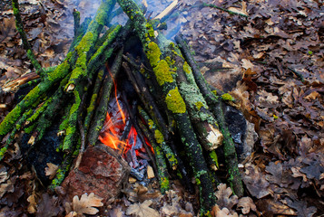 bonfire in the forest foe camping