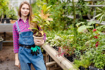 awesome female gardener holding potted croton flower at greenhouse. close up photo. copy space. hobby. lifestyle