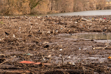 Environmental pollution at a lock on the Neckar river a lot of wood and plastic waste is washed...