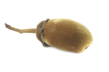African baobab fruit or Monkey bread on a white background
