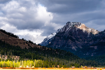 Yellowstone Landscape