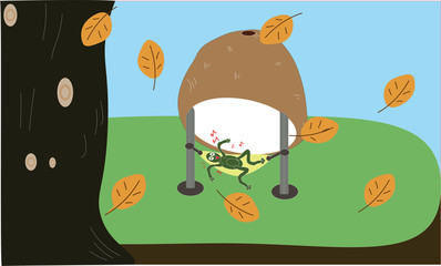 a frog under coconut shell